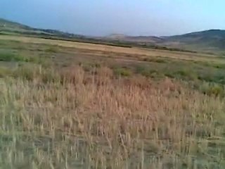 mehmet kara kaya cesy ferma 4