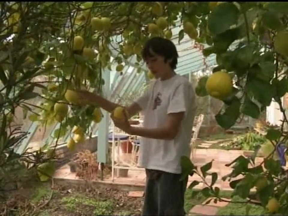 Zu Tisch in Rheinhessen