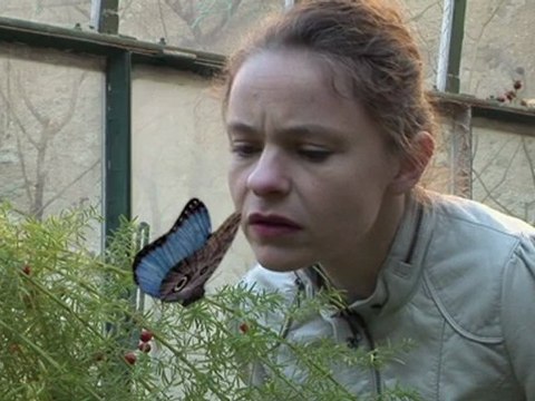 Trailer - Oct. 2011 - Démangeaisons de l'oracle