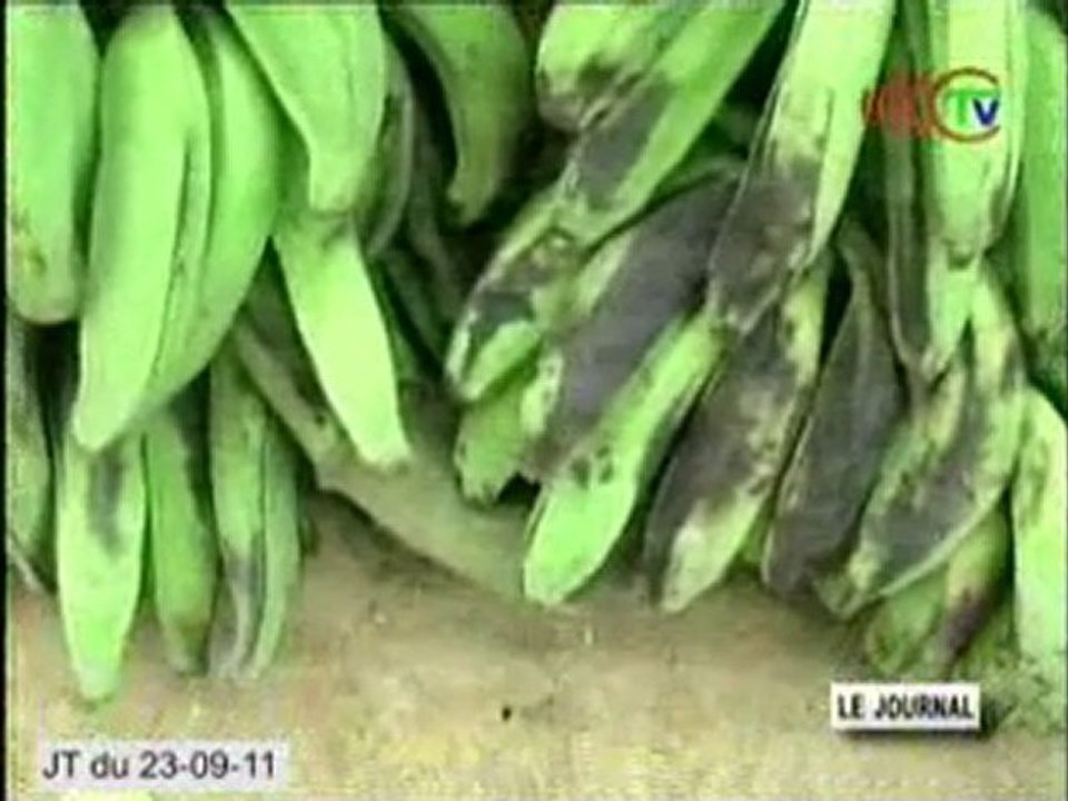 Une formation à l'endroit des membres du PAMIR Congo