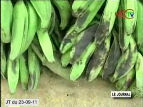 Une formation à l'endroit des membres du PAMIR Congo