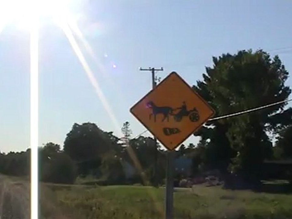 Attention aux amish !