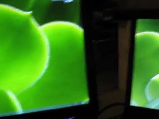 System boot Win7 with SSD HD + Photoshop launch real time