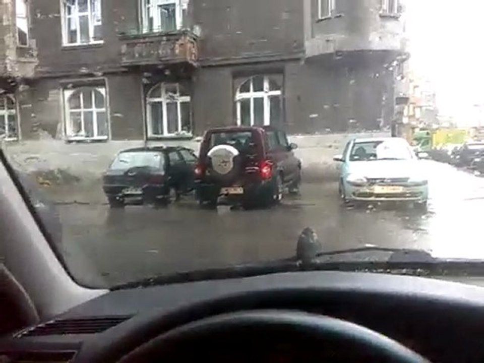 Sparrow on a windscreen wiper
