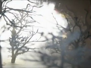 Thursday - Magnets Caught In a Metal Heart