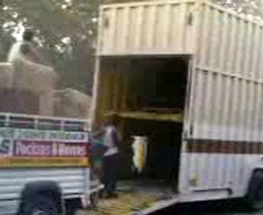 LOCAL TRANSIT CONTAINER BY C L S PACKERS & MOVERS JAMSHEDPUR