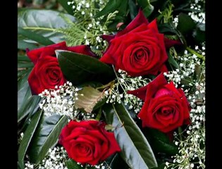 Numan Hadi - Ela Gözlüm