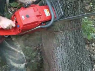 Clip commercial pour Allo Débroussaillage Elagage