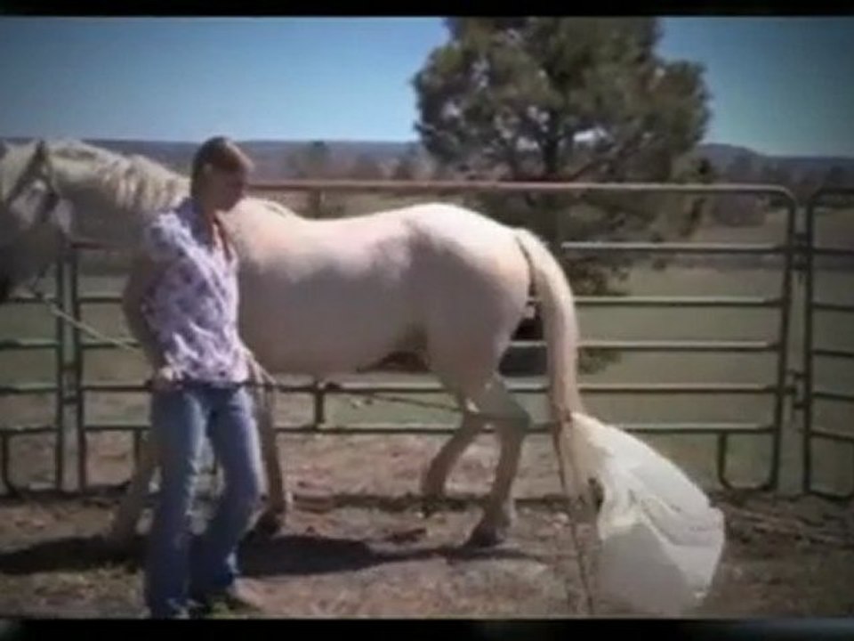 Horse Behavior Problems