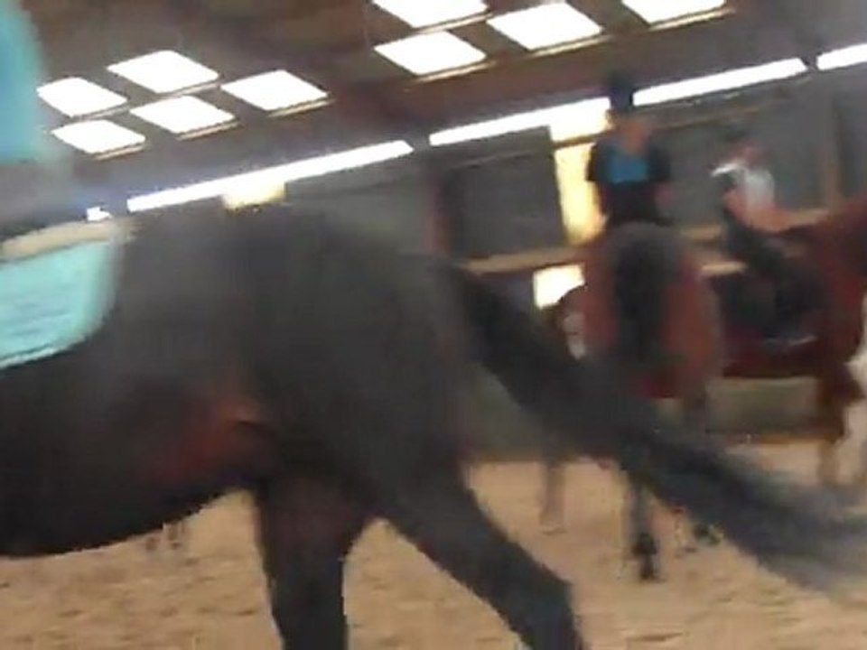 Misty et Tiphaine - Entrainement CSO