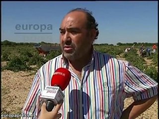 La Bodega Javier Sanz lanza un vino único