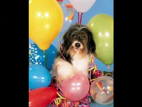 с днём рождения