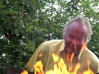 Instincts carnivores