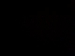 panax ginseng www.orjinalpanax.web.tr