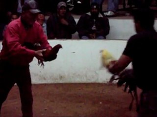 CRIADERO PARTIDO GARIBAY