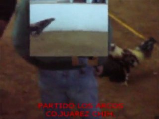 CRIADERO PARTIDO GARIBAY