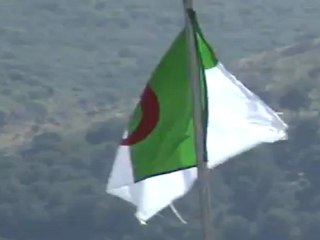 MEZOUAR BOUALEM DRAPEAU - ALGERIEN