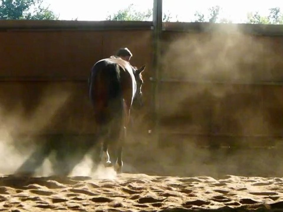 kouron z au pas en main