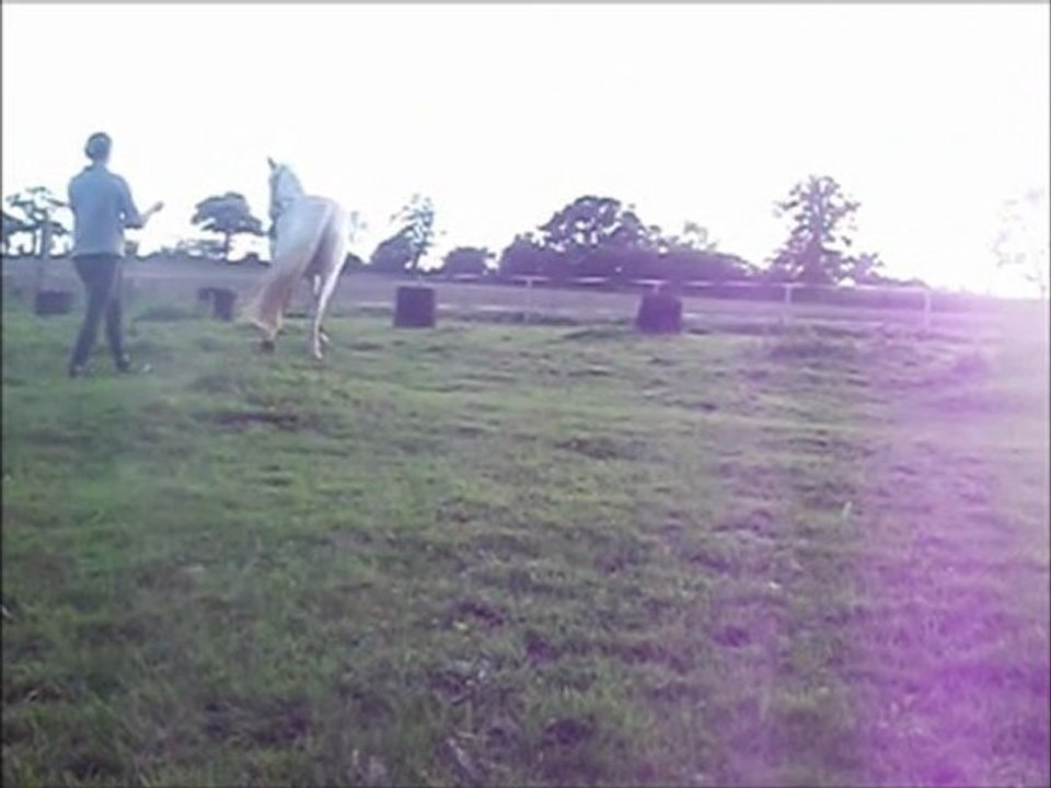 Kirina en longue rênes