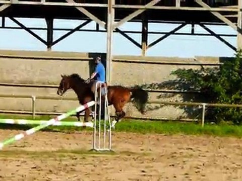 kouron z au galop monté
