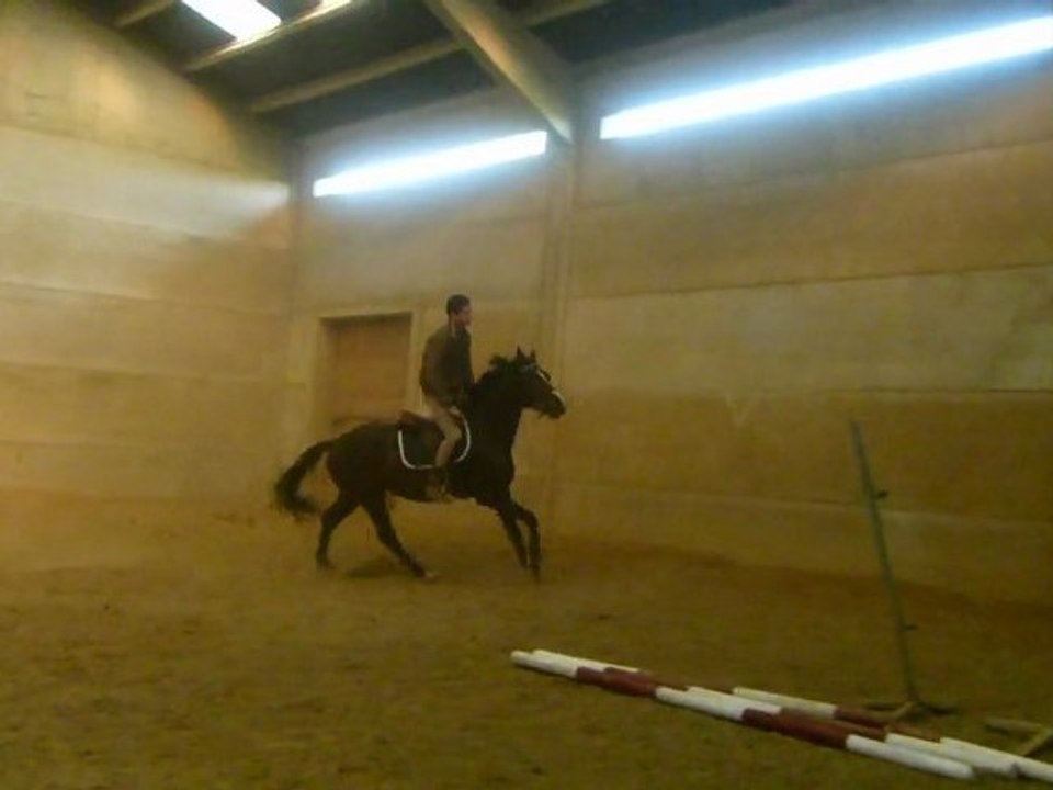 ckianty galop monté