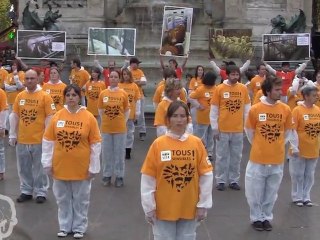 Faut-il manger des animaux ? Rassemblement 24.09.2011