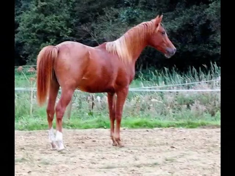 17ans VS 17mois soir du 20 09 2011 les loulous 1an plus tard