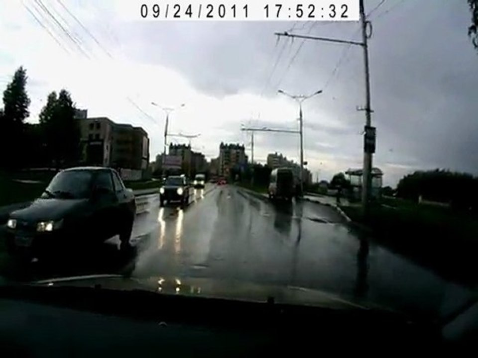сбил собаку