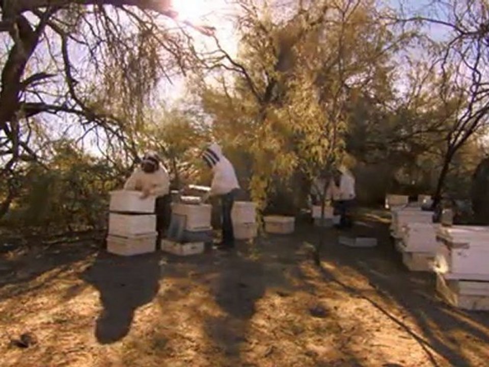 HopGuard - Varroa Mite Control