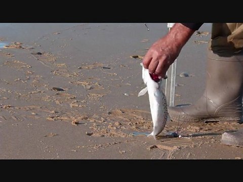 Pêche à Carcans 23-09-2011(1)