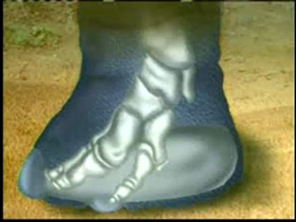 Fillerin ayaklarındaki tasarım