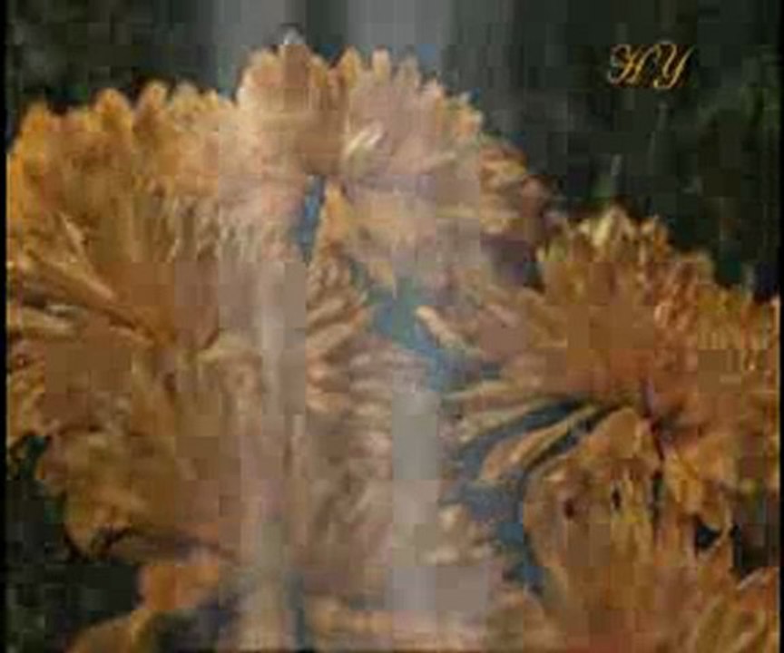 Hz. Mehdi (a.s.)'nin genel görünümü