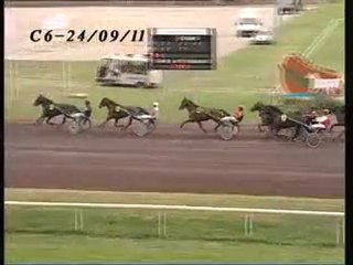 Quelus du Mouty Cavaillon