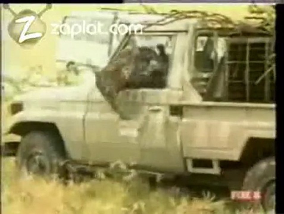 Hayvanla Fazla uğraşırsan olacağı budur :)