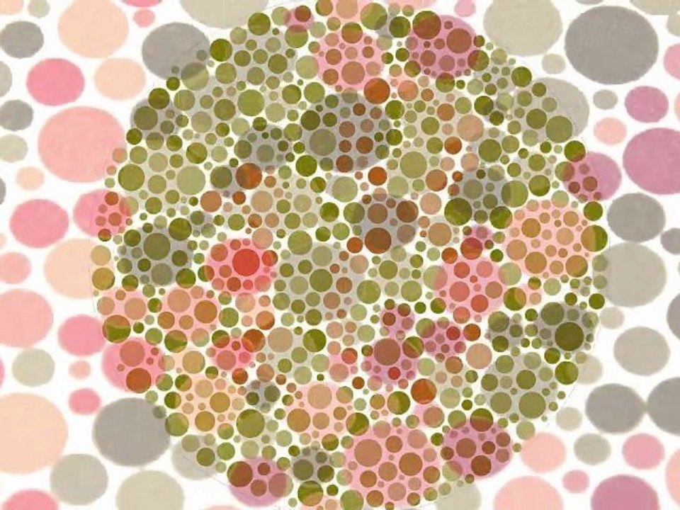 Chacun ses couleurs