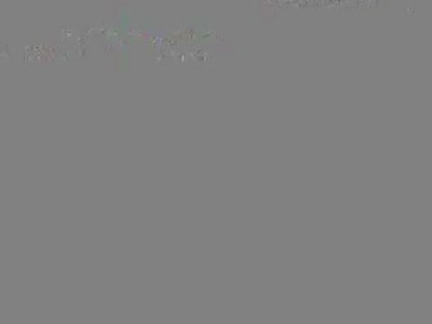 1-What do Michel Martelly and Sophia Martelly have in common?