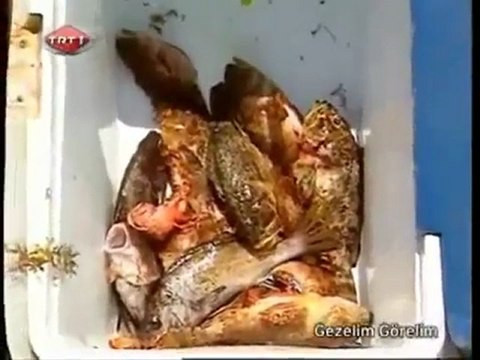 KOCAELI KANDIRA - TRT 1 Gezelim Görelim Bölüm 2 - Kandıra'nın Sesi