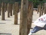 chinese kung fu for shaolin wooden dummy