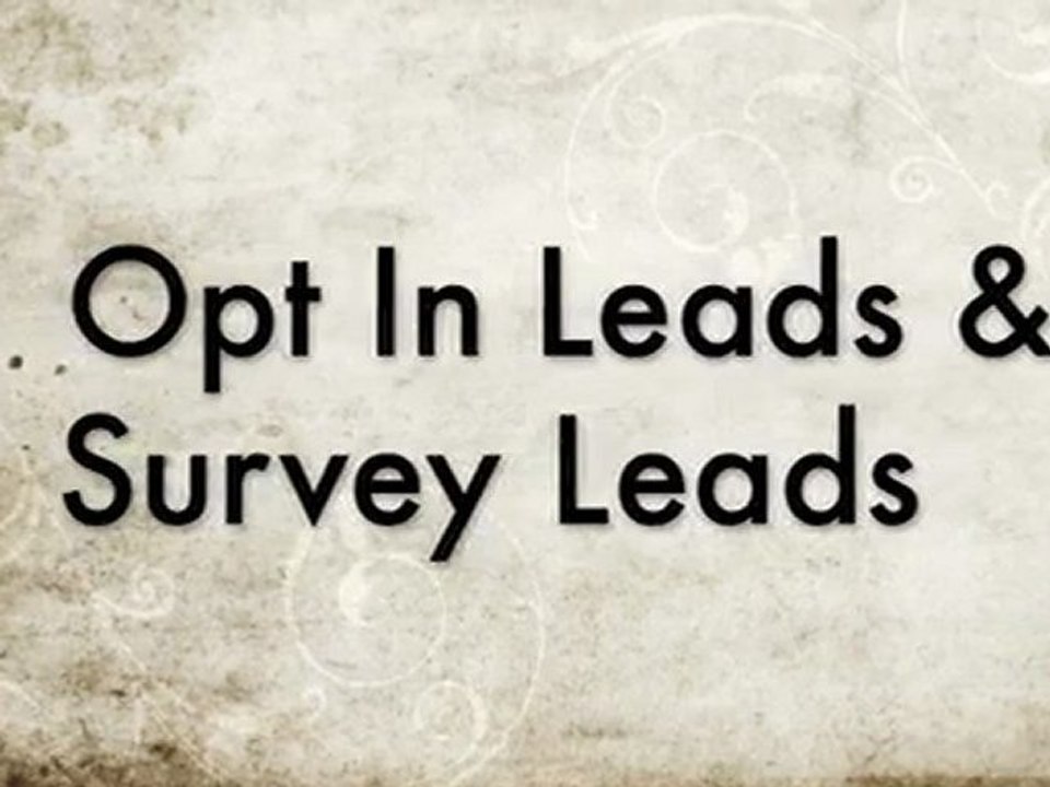Do You Want More Leads