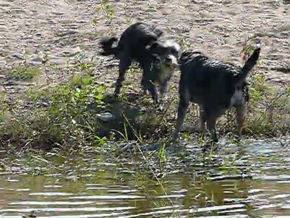 Poids lourd contre Poids plume :-)