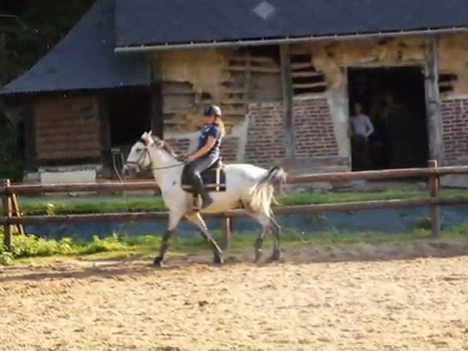 Qualin 4