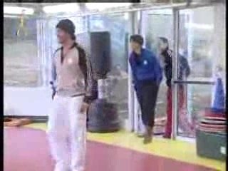 Le Lac des  Pingouins !