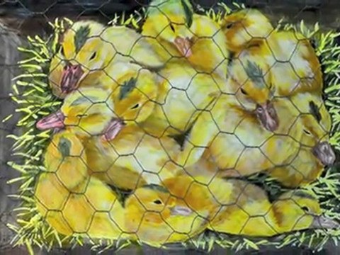 expo de l'atelier aquarelle/peinture à la chapelle des pénitents, Beaulieu sur Dordogne, Juillet 2011.