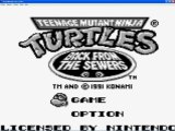 Teenage Mutant Ninja Turtles II Back from the Sewers [GameBoy]
