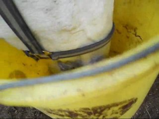 Moly.. encore avec ses seaux ! :p