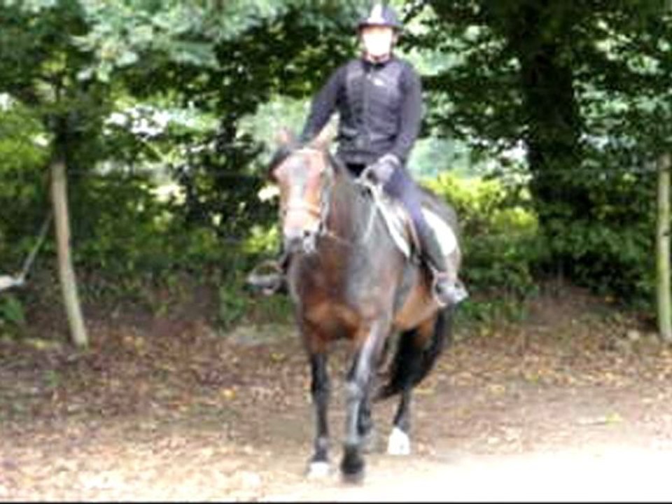 vlc-record-2011-09-25-12h43m09s-moi & roanito.avi-