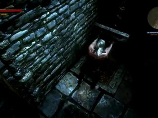 Walkthrough The witcher 09 HD