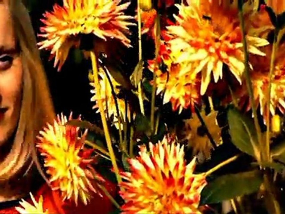 CLIP Louisa Bonheur Nouvelle Collection Automne-Hiver 2011-2012