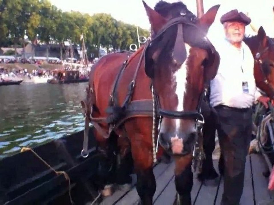 Festival de Loire 2011 : Halage des bateaux par des chevaux ardennais