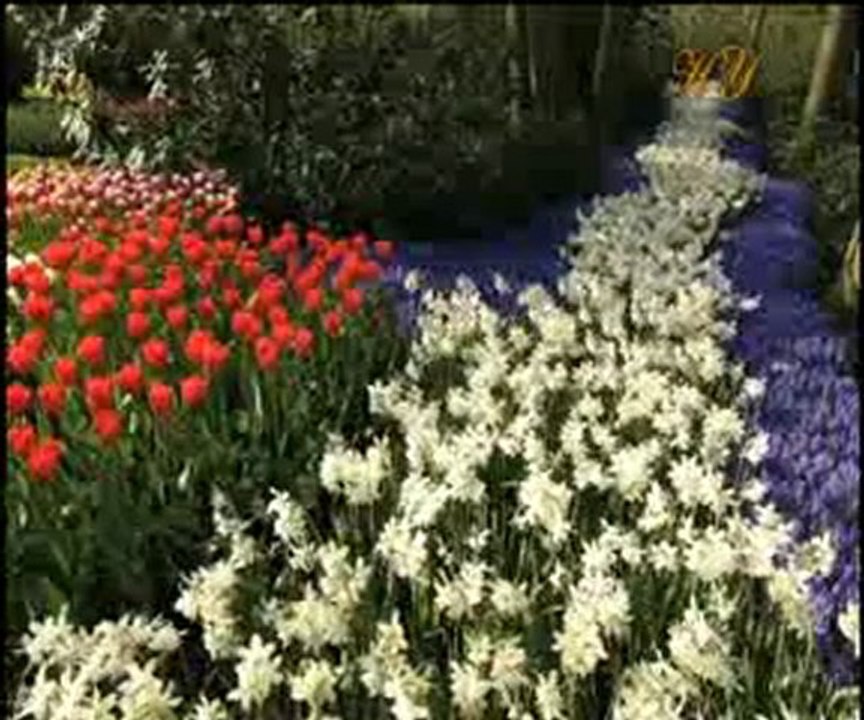 Hz. Mehdi (a.s.)'nin mücadele dönemleri